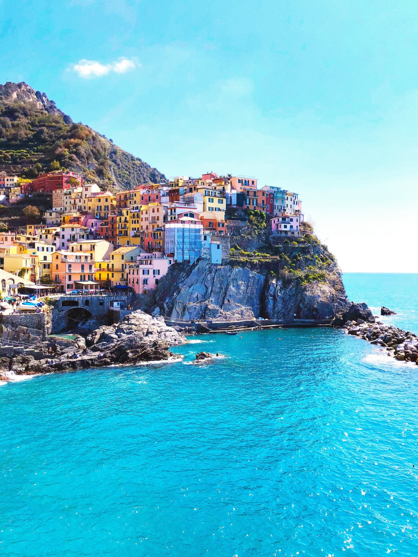 Manarola village above the sea